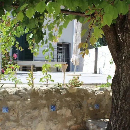 Bed & Breakfast Al Qatta